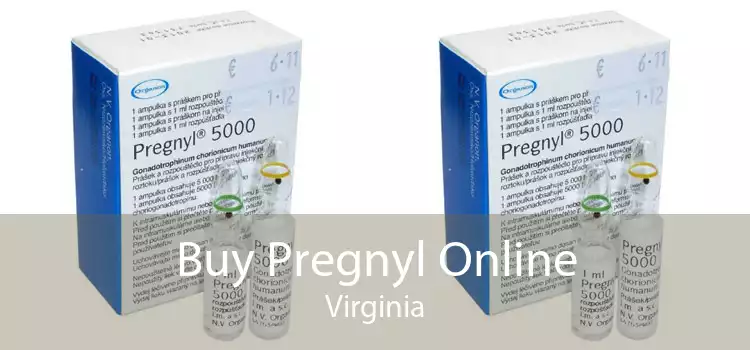 Buy Pregnyl Online Virginia